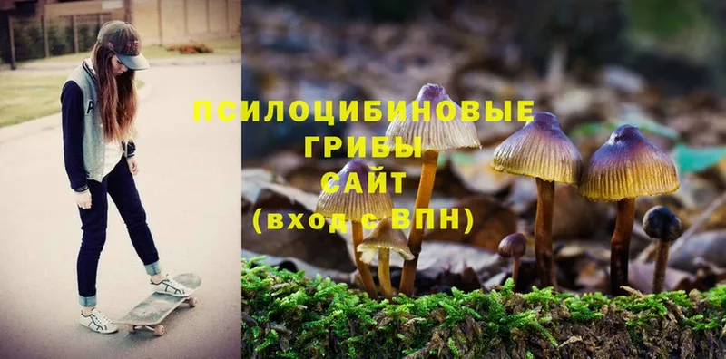 Псилоцибиновые грибы Magic Shrooms  Кохма 